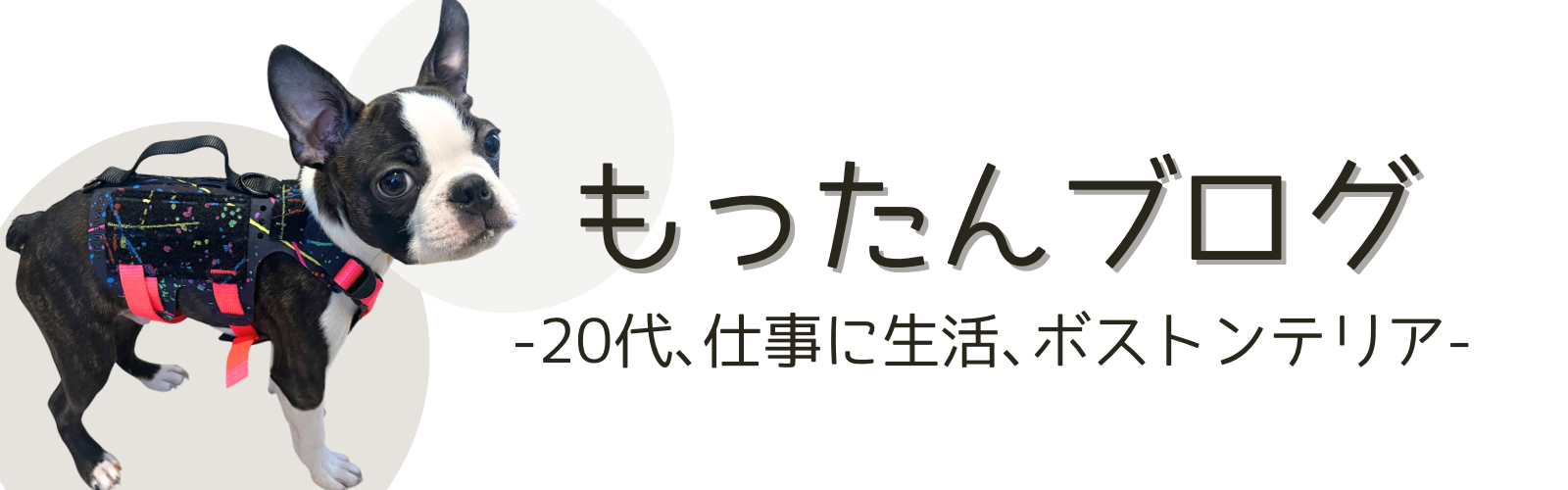 もったんブログ